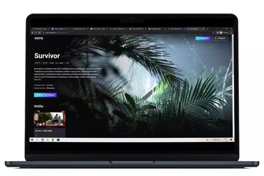 survivor online