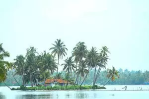 survivor reality show