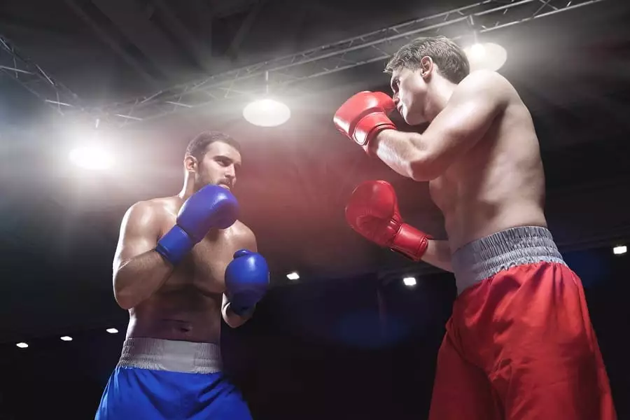 Fight night challenge 4 karta, program