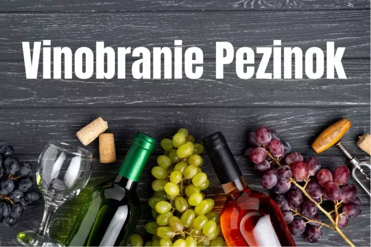 Vinobranie Pezinok 2023