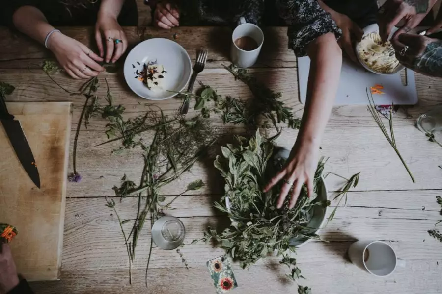 Za liečivé rastliny sú považované také rastliny, ktoré obsahujú látky s terapeutickými vlastnosťami a silnými farmakologickými účinkami. 