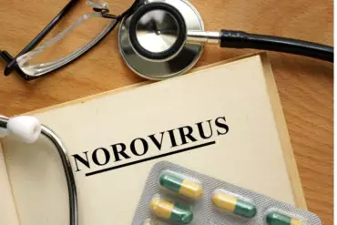 norovirus